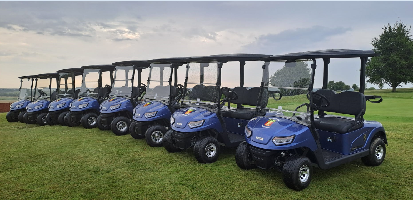 New buggies