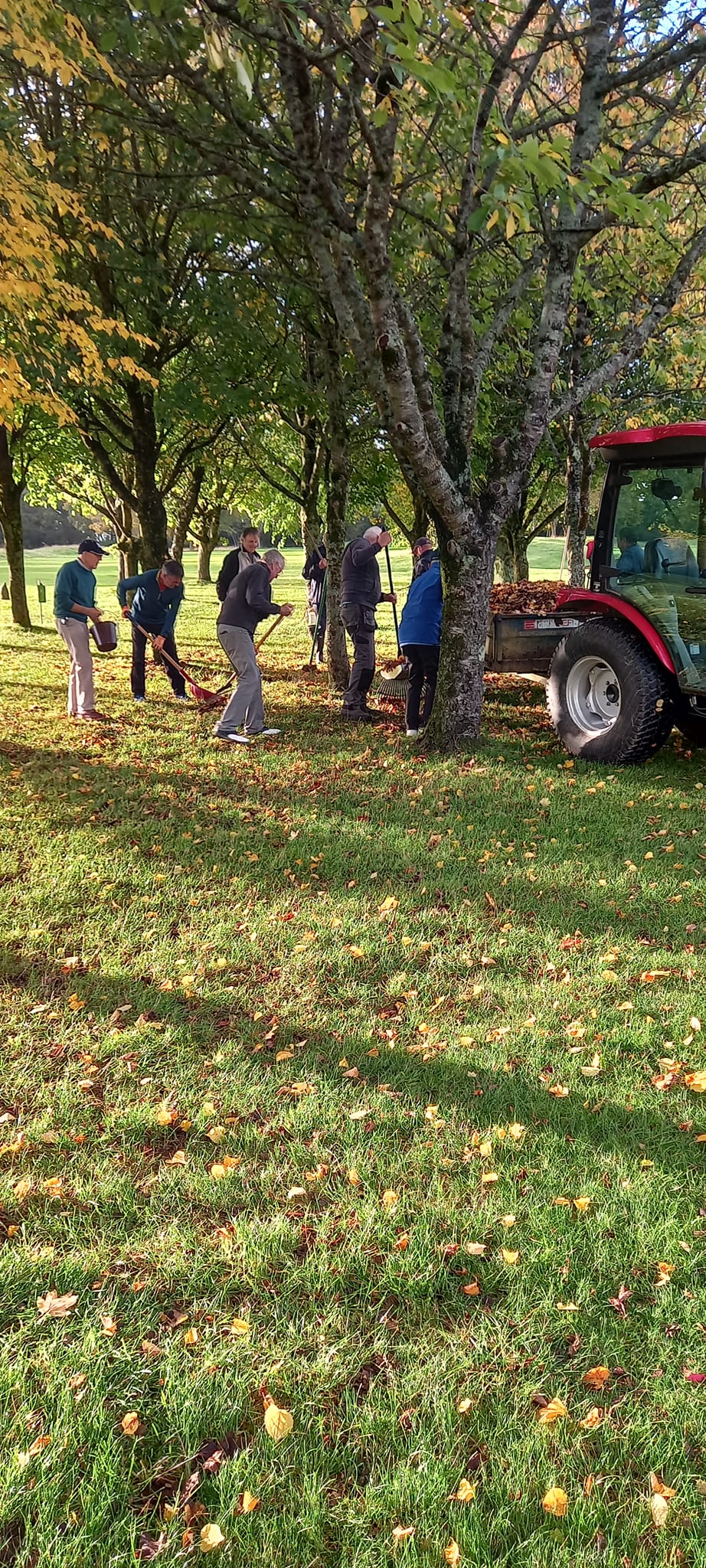 Volunteers 3